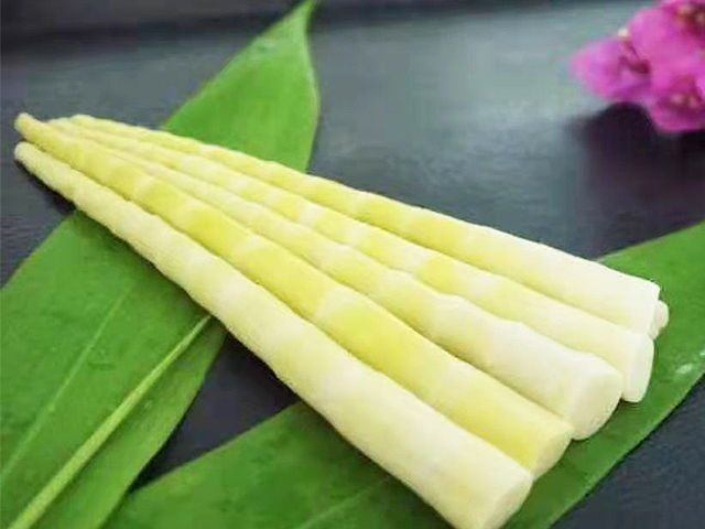  木竹筍17-21cm鮮筍